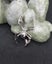 Silver spider Brooch Carousel 4