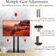 TV Stand Carousel 6