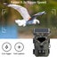 Solar Powered Trail Camera with Detailed Images IR Night Tracking Moving Targets Carousel 5