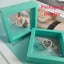 4pc Nipple Piercing Jewellery Carousel 5