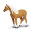 Safari Ltd Palomino Mare Carousel 3