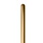 Sempertex 260T Metallic Reflex Gold - Set of 50 Carousel 1