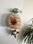 Melissa & Doug Musical Pull Beehive-Crinkling Soft-to-Touch Crib Toy-BRAND NEW Carousel 13