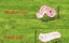 Set of 2 Glow in the dark Caterpillars (sku168) Carousel 3