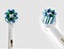 Oral B Brush Heads New Carousel 5