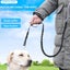 Dog Leash & Seatbelt New Carousel 1