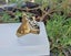 (18K Gold Filled) Lion Statement Ring RST17KL-7 Carousel 3