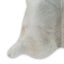 Premium A Grade Cowhide Rug - Grey Carousel 4