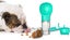 Dog Travel Water Bottle Outdoor Pet Water Dispenser Free Shipping | Local Stock Carousel 3