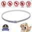 Dogs Mosquitoe Repellent Collar Pet Antiparasitic Anti Flea Tick Collar F CHK12N Carousel 2
