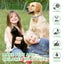 Dogs Mosquitoe Repellent Collar Pet Antiparasitic Anti Flea Tick Collar F CHK12N Carousel 4