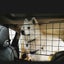 PTN NEW Car Barrier Car Pet Dog Barrier Safety Fence Sale Sale Carousel 6