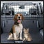 PTN NEW Car Barrier Car Pet Dog Barrier Safety Fence Sale Sale Carousel 13