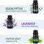 Essential Oils Gift Set 6 Bottles i2463BK0 Carousel 4