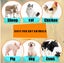 Pet anti-flea spray insect repellent Carousel 4