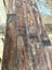 Matai Heart 90x25 t & g Flooring Carousel 3