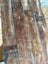 Matai Heart 90x25 t & g Flooring Carousel 4