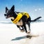 EZY DOG LIFE VEST JACKET FLOTATION DEVICE DFD X2 BOOST XTRA LARGE YELLOW Carousel 10
