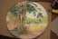 ROYAL DOULTON PLATE, AUSTRALIAN SCENE Carousel 1