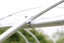 Tunnelhouse Greenhouse 10x3M Carousel 15
