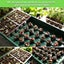 PTN NEW Garden Seed Propagator Sale Sale Carousel 5