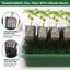 PTN NEW Garden Seed Propagator Sale Sale Carousel 11