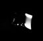 Loading Image 1 of 1
