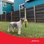 TETHER TUG SMALL DOG & PUPPIES up to 16kg WITH INSIDE POLE Carousel 4