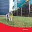 TETHER TUG SMALL DOG & PUPPIES up to 16kg WITH INSIDE POLE Carousel 5