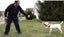 TETHER TUG EASY TUG with FLEECE TOY ATTACHMENT Carousel 4