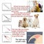 Cordless Pet Dog Clipper Grooming Trimmer Electric Shaver Kit - NEW Carousel 9