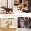 Cat Door Glass Fitting Cat Door Carousel 5