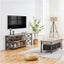 Entertainment Unit TV Cabinet Carousel 3