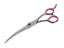 Pet Cat Dog Grooming Scissors Set Carousel 5