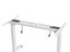 Standing Desk Carousel 5