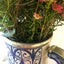 Moorish Fez Jug in Blue Carousel 14