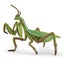 Loading Image 1 of 6