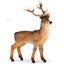 Loading Image 1 of 1