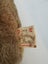 Vintage Collectable just an old fashioned Bear Madrigal designs Carousel 4