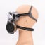 Full Face Safety Respirator Gas Mask Goggles Spray Paint Dust Chemical Shield Carousel 4