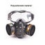 Full Face Safety Respirator Gas Mask Goggles Spray Paint Dust Chemical Shield Carousel 12