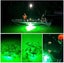 PTN NEW Fishing Light Sale Sale Carousel 4