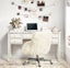 Bone Inlay Desk in White Carousel 6
