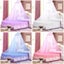 Dome Mosquito Stopping Net Bed Canopy-Pink Carousel 2