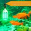 Waterproof Dive Torch Carousel 6
