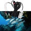 Waterproof Dive Torch Carousel 10
