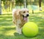 Giant Tennis Ball 24cm Big Outdoor Beach Sports Inflatable Pet Play Dog Toy Carousel 3