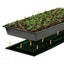 Seedling Heat Mat 120cm x 50cm Carousel 4