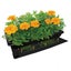 Seedling Heat Mat 120cm x 50cm Carousel 5