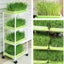 Microgreens Tray Stacker Storage Rack with 4 Seed Sprouting Trays Carousel 2